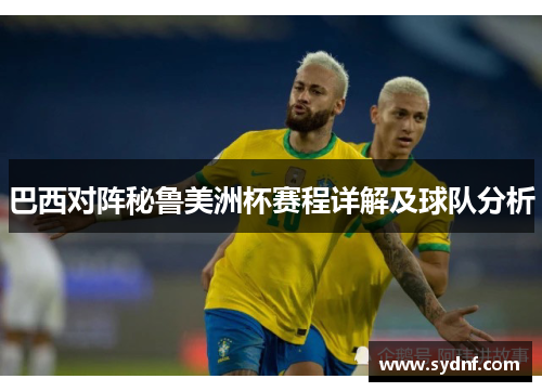巴西对阵秘鲁美洲杯赛程详解及球队分析