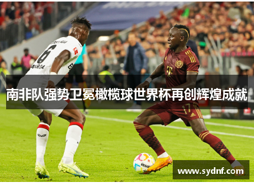 南非队强势卫冕橄榄球世界杯再创辉煌成就