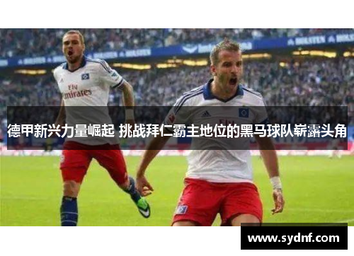 德甲新兴力量崛起 挑战拜仁霸主地位的黑马球队崭露头角