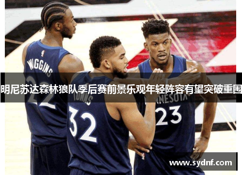 明尼苏达森林狼队季后赛前景乐观年轻阵容有望突破重围