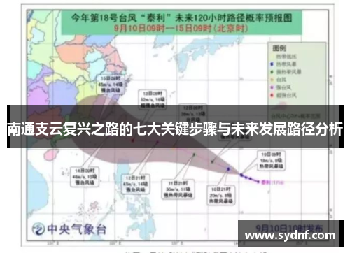 南通支云复兴之路的七大关键步骤与未来发展路径分析
