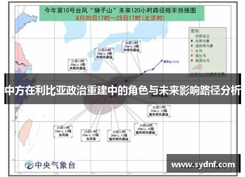 中方在利比亚政治重建中的角色与未来影响路径分析