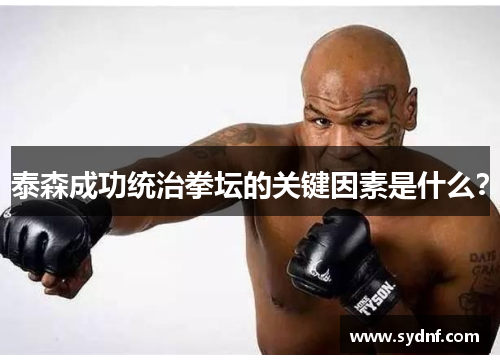 泰森成功统治拳坛的关键因素是什么？