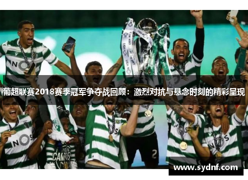 葡超联赛2018赛季冠军争夺战回顾:激烈对抗与悬念时刻的精彩呈现 葡超联赛2018赛季冠军争夺战回顾:激烈对抗与悬念时刻的精彩呈现
